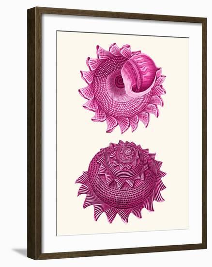 Pink Shells b-Fab Funky-Framed Art Print