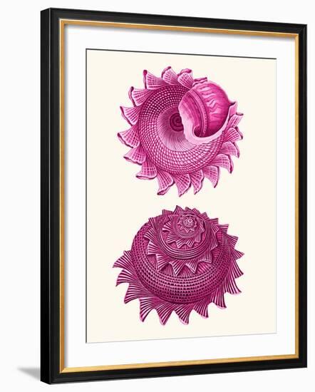 Pink Shells b-Fab Funky-Framed Art Print