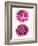 Pink Shells b-Fab Funky-Framed Art Print