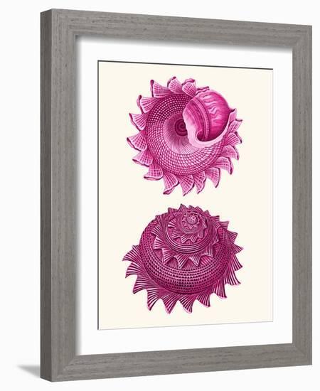 Pink Shells b-Fab Funky-Framed Art Print