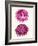 Pink Shells b-Fab Funky-Framed Art Print