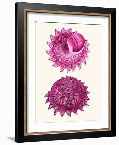 Pink Shells b-Fab Funky-Framed Art Print