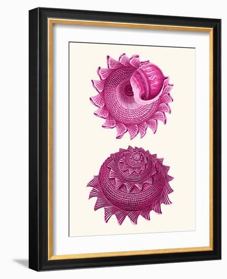 Pink Shells b-Fab Funky-Framed Art Print