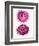 Pink Shells b-Fab Funky-Framed Art Print