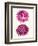 Pink Shells b-Fab Funky-Framed Art Print