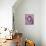 Pink Skull Princess-Roseanne Jones-Mounted Giclee Print displayed on a wall