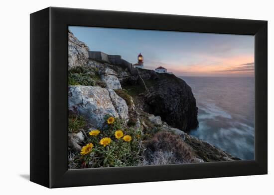 Pink sky at sunset and yellow flowers frame the lighthouse, Cabo De Sao Vicente, Sagres, Algarve, P-Roberto Moiola-Framed Premier Image Canvas