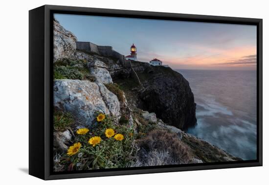 Pink sky at sunset and yellow flowers frame the lighthouse, Cabo De Sao Vicente, Sagres, Algarve, P-Roberto Moiola-Framed Premier Image Canvas