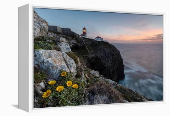 Pink sky at sunset and yellow flowers frame the lighthouse, Cabo De Sao Vicente, Sagres, Algarve, P-Roberto Moiola-Framed Premier Image Canvas