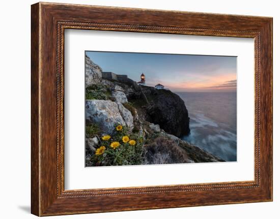 Pink sky at sunset and yellow flowers frame the lighthouse, Cabo De Sao Vicente, Sagres, Algarve, P-Roberto Moiola-Framed Photographic Print