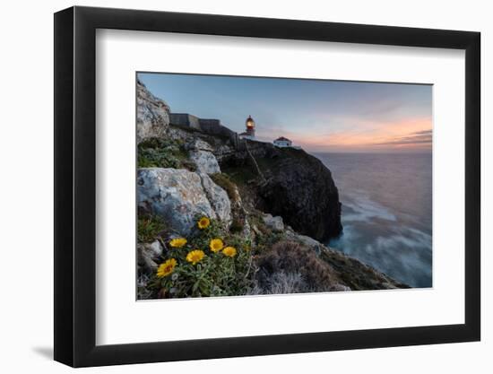 Pink sky at sunset and yellow flowers frame the lighthouse, Cabo De Sao Vicente, Sagres, Algarve, P-Roberto Moiola-Framed Photographic Print