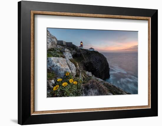 Pink sky at sunset and yellow flowers frame the lighthouse, Cabo De Sao Vicente, Sagres, Algarve, P-Roberto Moiola-Framed Photographic Print