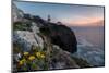 Pink sky at sunset and yellow flowers frame the lighthouse, Cabo De Sao Vicente, Sagres, Algarve, P-Roberto Moiola-Mounted Photographic Print