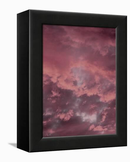 Pink Sky-Design Fabrikken-Framed Premier Image Canvas