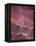 Pink Sky-Design Fabrikken-Framed Premier Image Canvas