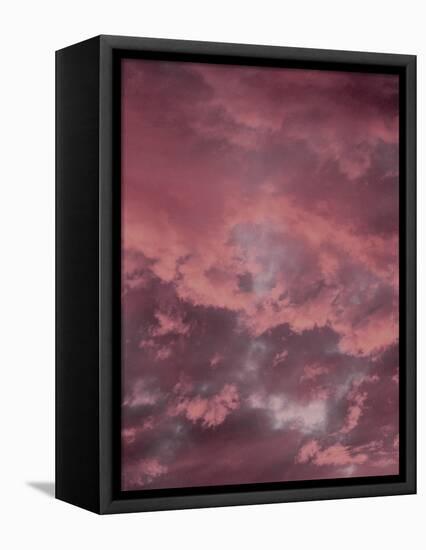 Pink Sky-Design Fabrikken-Framed Premier Image Canvas