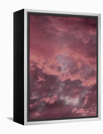 Pink Sky-Design Fabrikken-Framed Premier Image Canvas