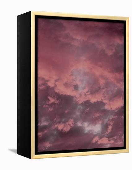Pink Sky-Design Fabrikken-Framed Premier Image Canvas