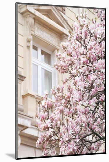 Pink Spring Magnolias in Paris-Carina Okula-Mounted Photographic Print