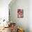 Pink Still-Life ( Oil on Board)-Ann Oram-Mounted Giclee Print displayed on a wall