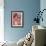 Pink Still-Life ( Oil on Board)-Ann Oram-Framed Giclee Print displayed on a wall