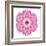 Pink Strawflower Flower Kaleidoscope-tr3gi-Framed Art Print
