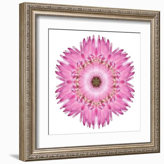 Pink Strawflower Flower Kaleidoscope-tr3gi-Framed Art Print