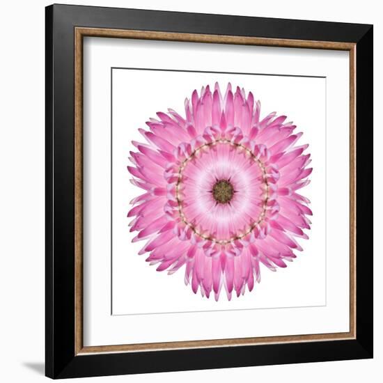 Pink Strawflower Flower Kaleidoscope-tr3gi-Framed Art Print