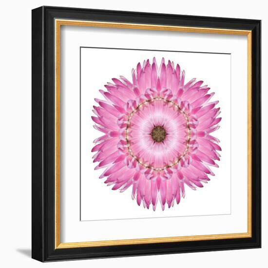 Pink Strawflower Flower Kaleidoscope-tr3gi-Framed Art Print