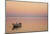 Pink Sunrise with Small Boat in the Ocean, Ifaty, Tulear, Madagascar-Anthony Asael-Mounted Photographic Print