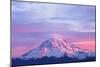 Pink Sunset Light on Mount Rainier in the Cascade Range, Washington State, USA-null-Mounted Photographic Print