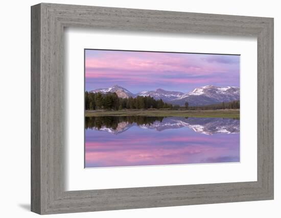 Pink sunset sky above Tuolumne Meadows, Yosemite National Park, California, USA. Spring (June) 2016-Adam Burton-Framed Photographic Print