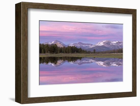 Pink sunset sky above Tuolumne Meadows, Yosemite National Park, California, USA. Spring (June) 2016-Adam Burton-Framed Photographic Print