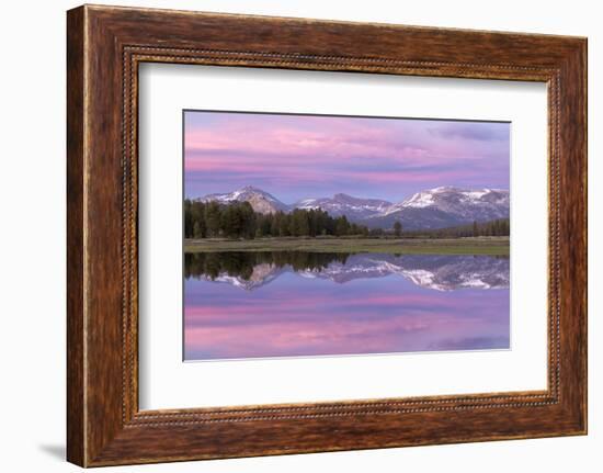 Pink sunset sky above Tuolumne Meadows, Yosemite National Park, California, USA. Spring (June) 2016-Adam Burton-Framed Photographic Print