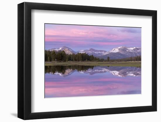 Pink sunset sky above Tuolumne Meadows, Yosemite National Park, California, USA. Spring (June) 2016-Adam Burton-Framed Photographic Print