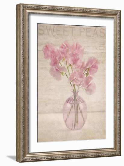 Pink Sweet Peas-Cora Niele-Framed Photographic Print