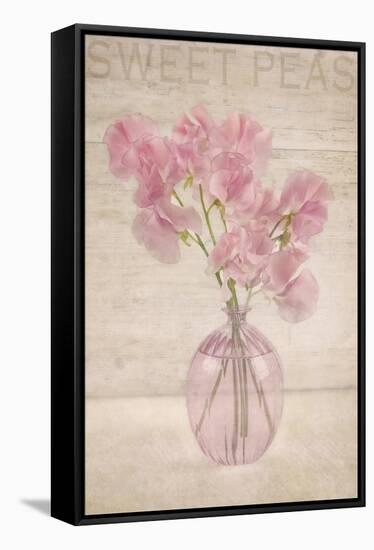 Pink Sweet Peas-Cora Niele-Framed Stretched Canvas