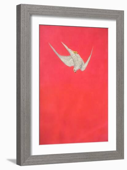 Pink Swoop; Gyr Falcon-Tim Hayward-Framed Giclee Print