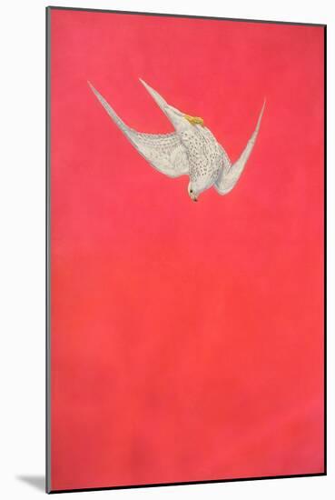 Pink Swoop; Gyr Falcon-Tim Hayward-Mounted Giclee Print