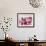 Pink Table-null-Framed Art Print displayed on a wall