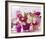 Pink Table-null-Framed Art Print