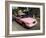 Pink Taxis, Duval Street, Key West, Florida, USA-R H Productions-Framed Photographic Print