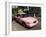 Pink Taxis, Duval Street, Key West, Florida, USA-R H Productions-Framed Photographic Print