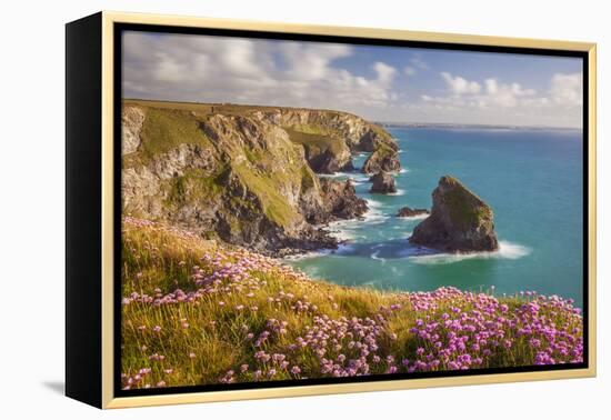 Pink Thrift Flowers, Bedruthan Steps, Newquay, Cornwall, England, United Kingdom-Billy Stock-Framed Premier Image Canvas