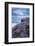 Pink thrift on cliff top, Bedruthan Steps, Cornwall, UK-Ross Hoddinott-Framed Photographic Print