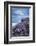 Pink thrift on cliff top, Bedruthan Steps, Cornwall, UK-Ross Hoddinott-Framed Photographic Print