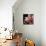 Pink Translucence I-Monika Burkhart-Photo displayed on a wall