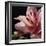 Pink Translucence I-Monika Burkhart-Framed Photo