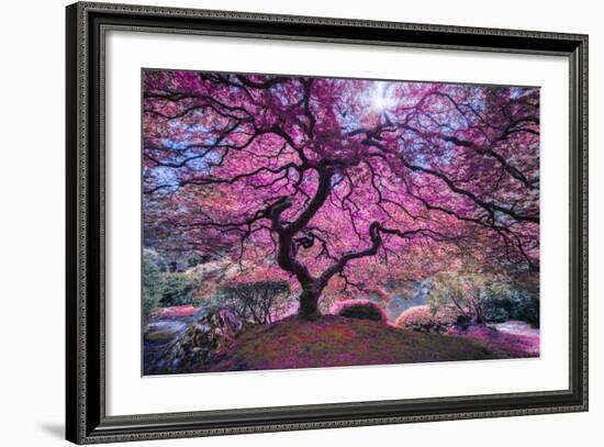 Pink Tree 2-Moises Levy-Framed Photographic Print