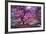 Pink Tree 2-Moises Levy-Framed Photographic Print